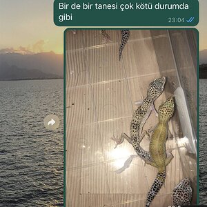 94878D62-53B0-4F00-AAE7-2863C2E1F256.jpeg
