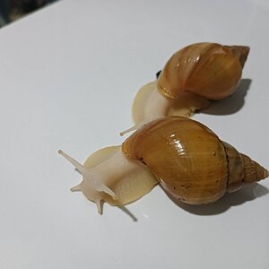 IMG_20230517_170054.jpg