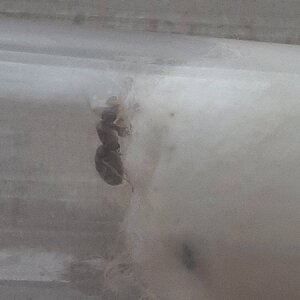 20230615_164857.jpg