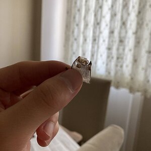 IMG_2982.jpeg
