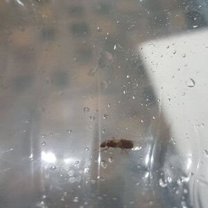 20230624_220702.jpg
