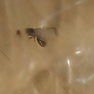 20230629_055148.jpg