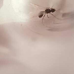 20230703_094009.jpg