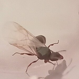20230703_094059.jpg