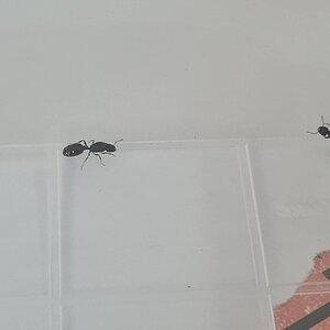 20230703_143001.jpg
