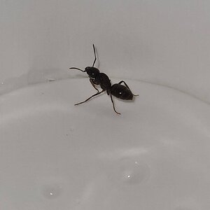 20230703_144911.jpg