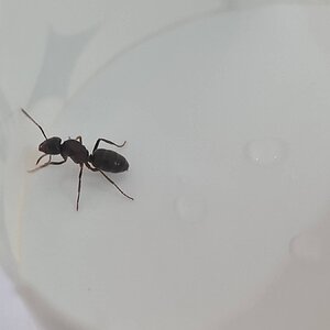 20230703_144924.jpg