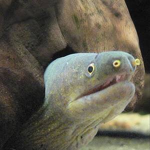 5713_3.jpg