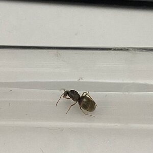 IMG_3829.jpeg