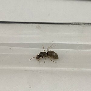 IMG_3830.jpeg