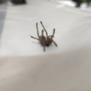 IMG-20230711-WA0015.jpeg