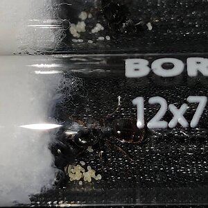 20230717_122933.jpg