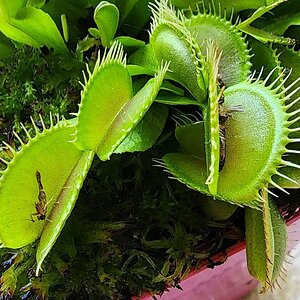 20230718_114543.jpg