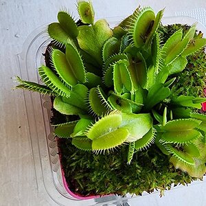 20230718_114526.jpg