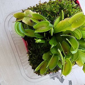 20230718_114518.jpg