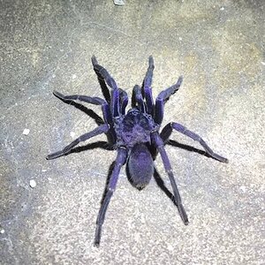 Screenshot_20230719_012451_YouTube.jpg