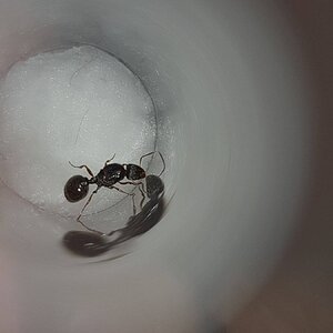 20230720_183046.jpg