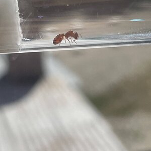 IMG_4445.jpeg