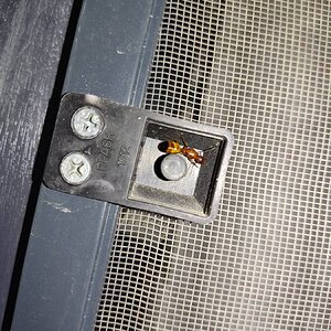 IMG_20230716_220955.jpg