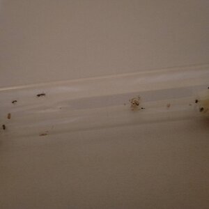 IMG20230801202443.jpg