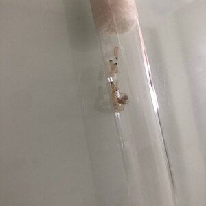 IMG_5409.jpeg
