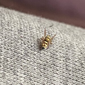 IMG_3974.jpeg