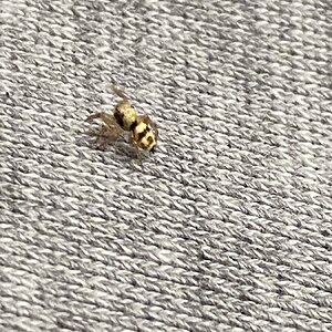 IMG_3972.jpeg