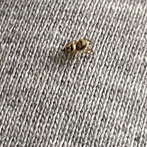 IMG_3977.jpeg
