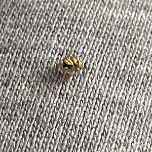 IMG_3976.jpeg