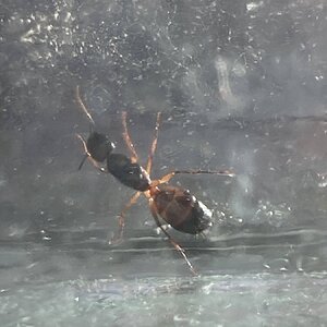 IMG_2891.jpeg