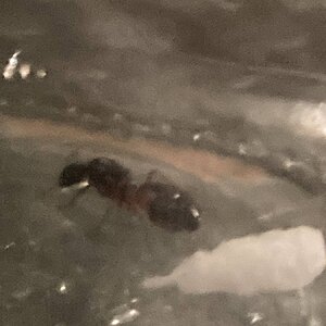 IMG_2901.jpeg