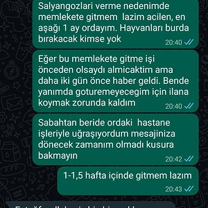 Screenshot_2023-08-14-15-38-04-25.jpg
