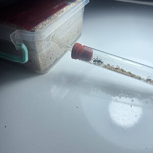 IMG_4250.jpeg