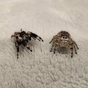 IMG_2536.jpeg