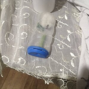 IMG_20230903_011739.jpg