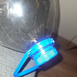 20230903_012030.jpg