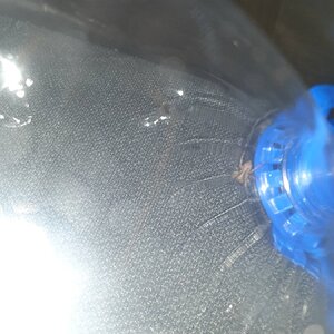 20230903_012057.jpg