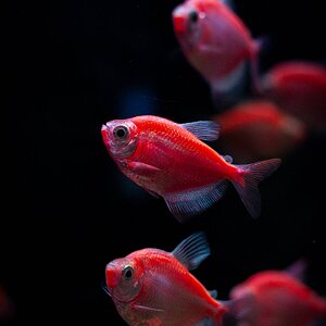 IMG_3755.jpg