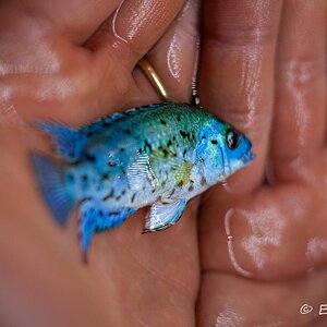IMG_4292.jpg