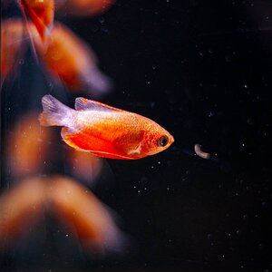 IMG_3635.jpg