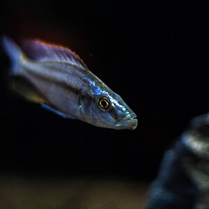 IMG_3692.jpg