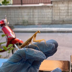 IMG_3277.jpeg