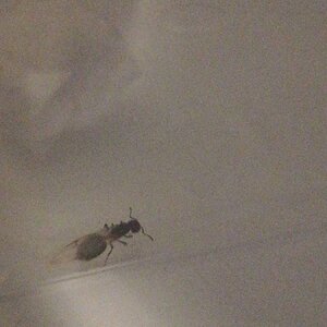 IMG_20231021_180238.jpg