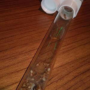 IMG-20240101-WA0031.jpeg