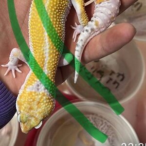 IMG_2476.jpeg