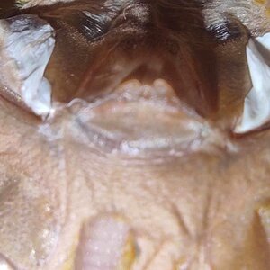 Facebook_creation_32936756.jpg