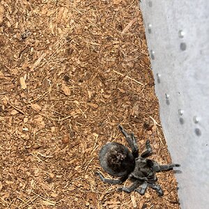 IMG_6513.jpeg