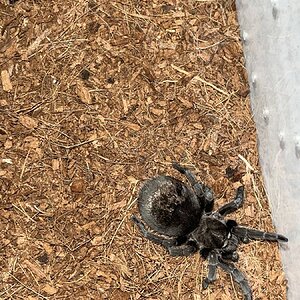 IMG_6512.jpeg