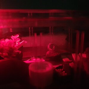 20240504_200314.jpg
