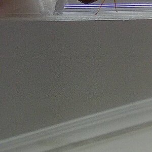 IMG_20240529_223723.jpg